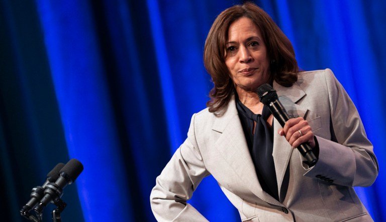 Kamala Harris says issue of immigration ‘falls squarely’ within responsibility of Congress