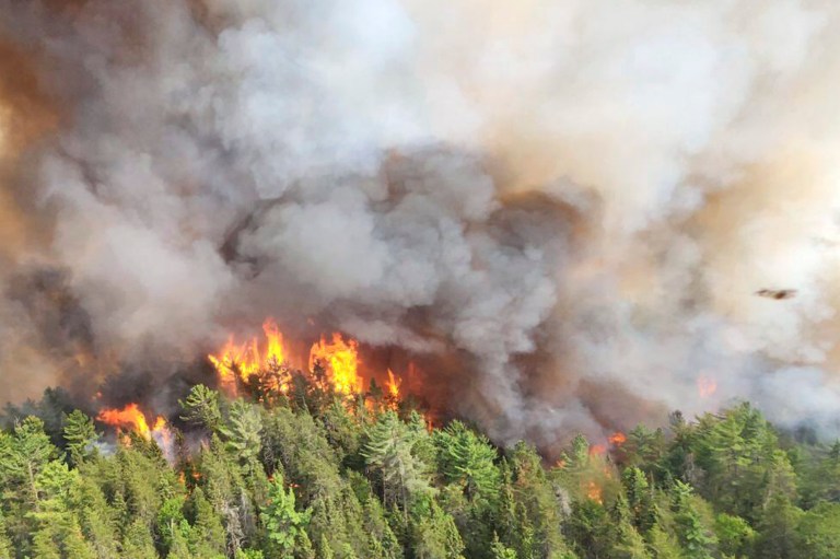Wildfire smoke: Canada blamed for forestry underfunding and mismanagement
