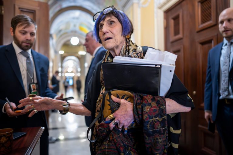 Democrat Rosa DeLauro calls GOP ‘terrorists,’ forcing explosive House hearing into recess