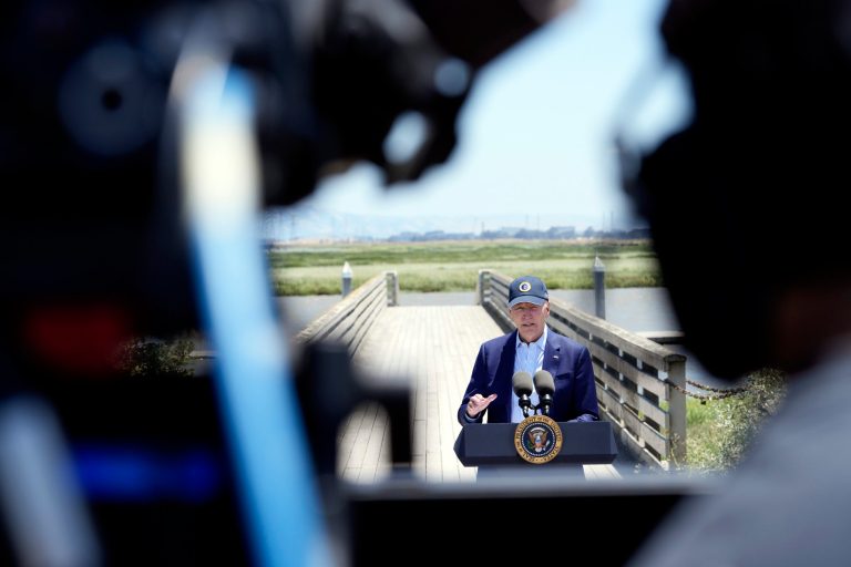 Democrats air concerns about Biden primary challengers and third-party campaigns