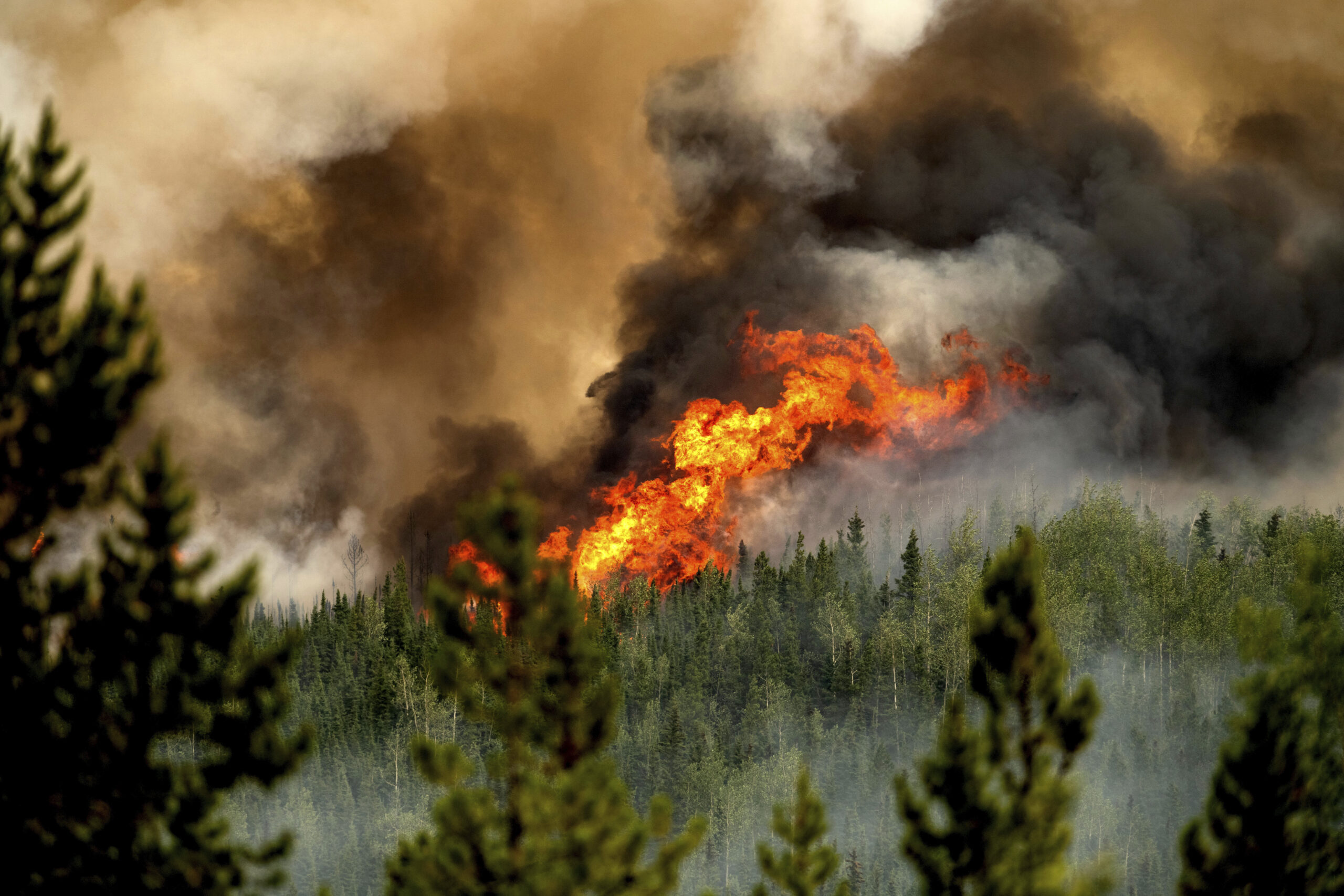 Canadian wildfires: What Canada is doing about the various infernos