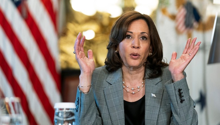 Kamala Harris’s mistake-filled week continues with call to ‘reduce population’