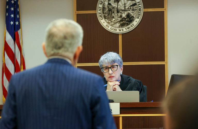 Judge Margaret Schreiber listens to arguments by Walt Disney Parks and Resorts attorney, Daniel Petrocelli, to toss out a lawsuit filed by the Central Florida Tourism Oversight District.