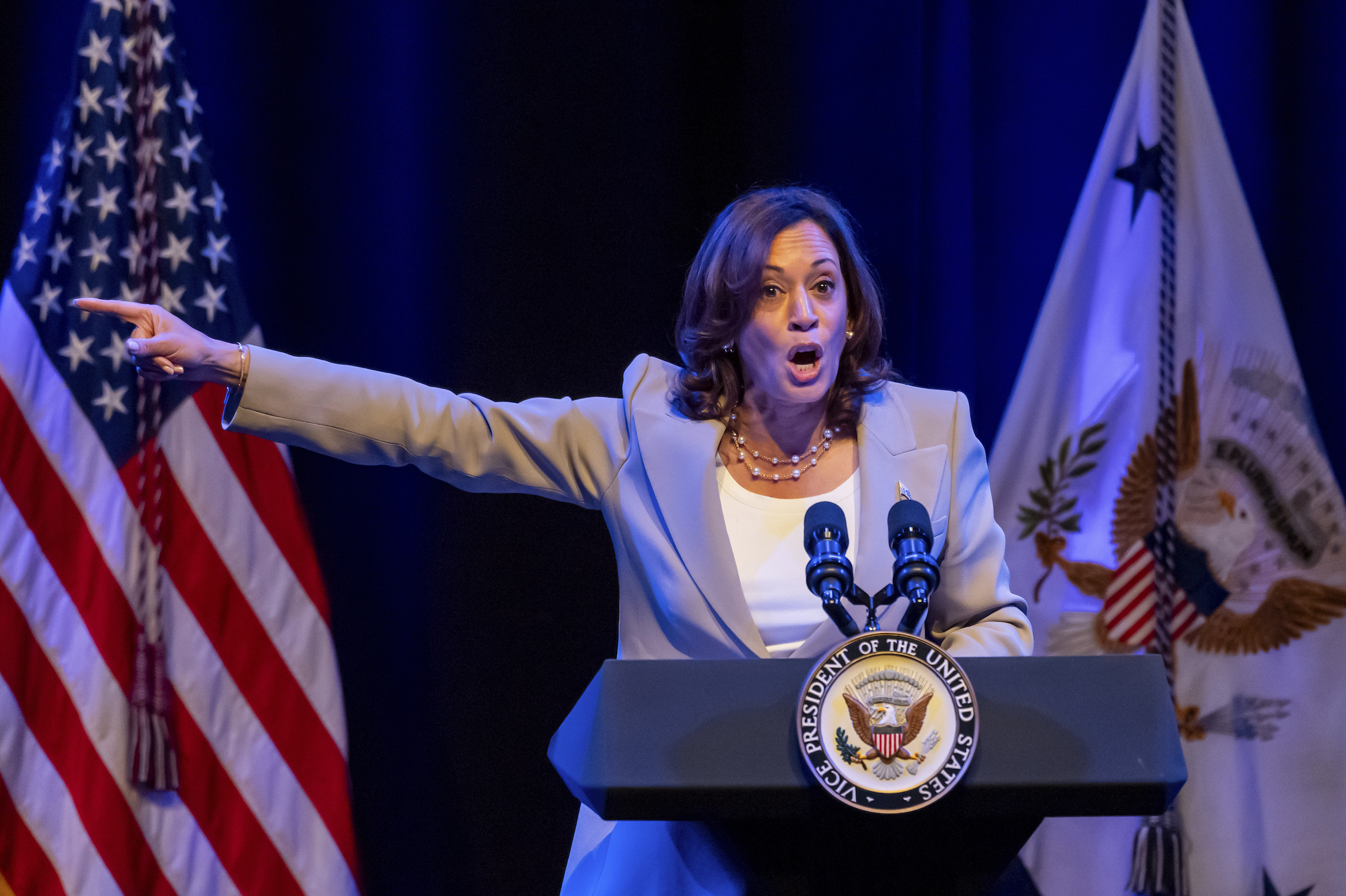 Vice President Kamala Harris plays the heavy in Biden’s 2024 fight for reelection