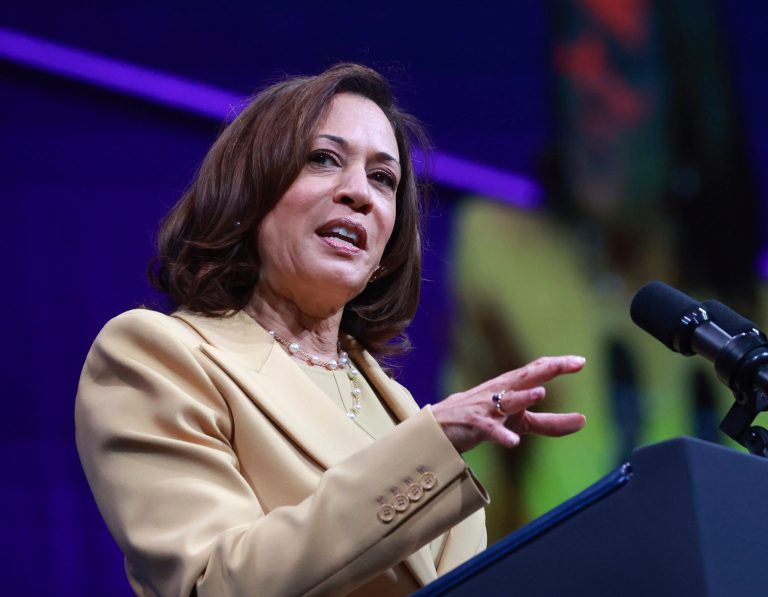 Vice President Kamala Harris hosted Mongolian Prime Minister Luvsannamsrain Oyun-Erdene for bilateral meetings at the White House Wednesday, while President Joe Biden continues his August vacation in Rehoboth Beach, Delaware.