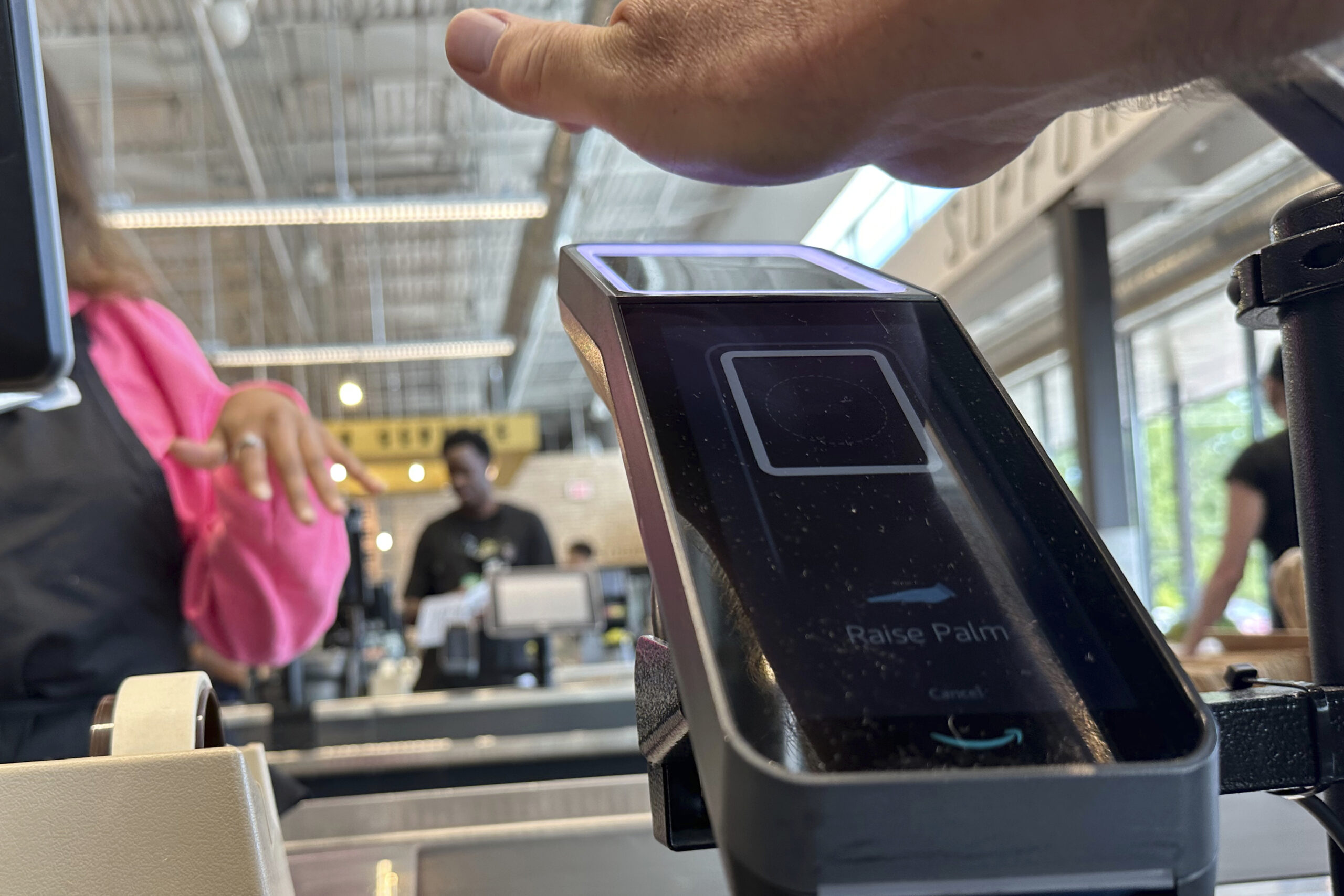 Palm Payment Technology