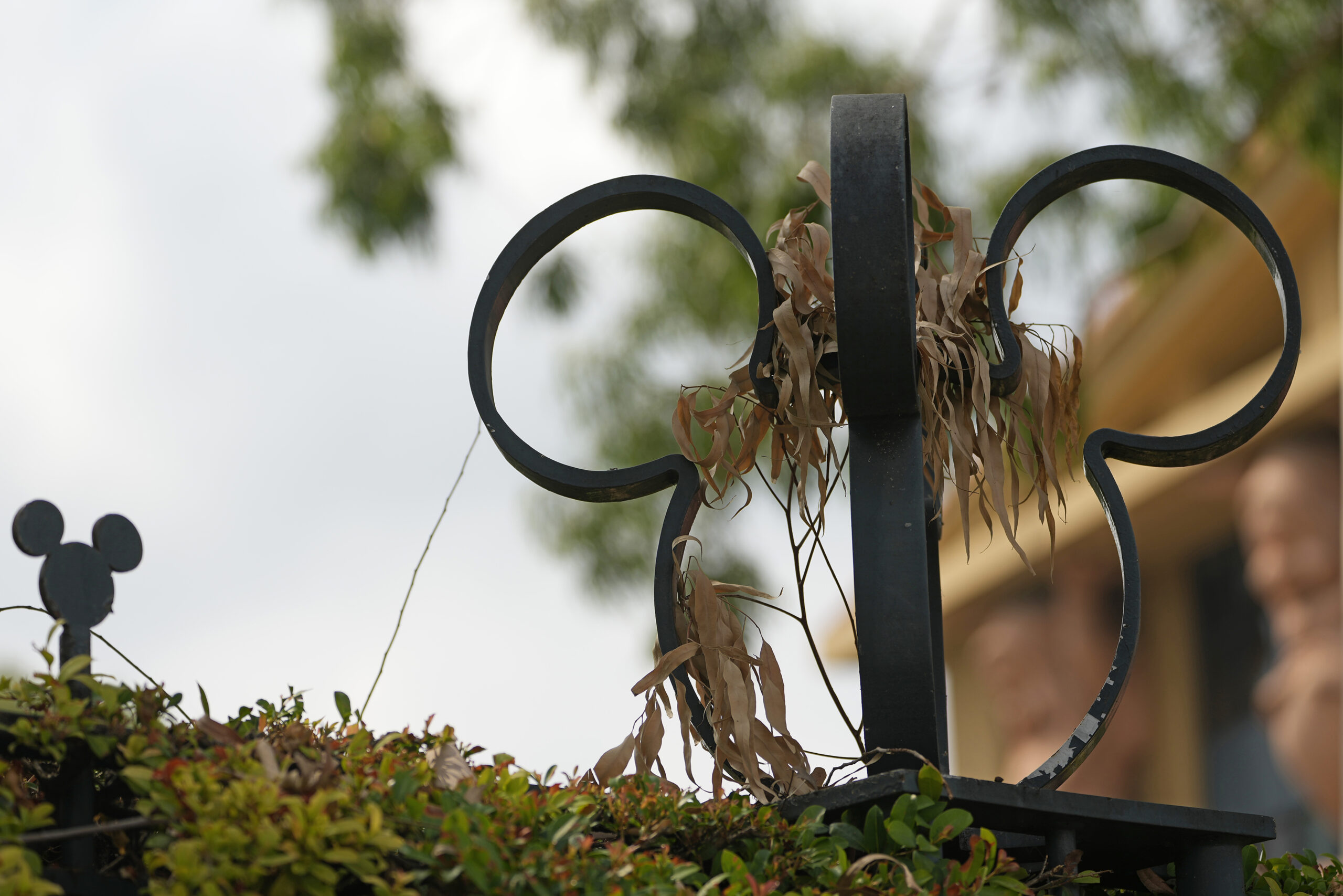 Disney announces new residential community under construction in North Carolina