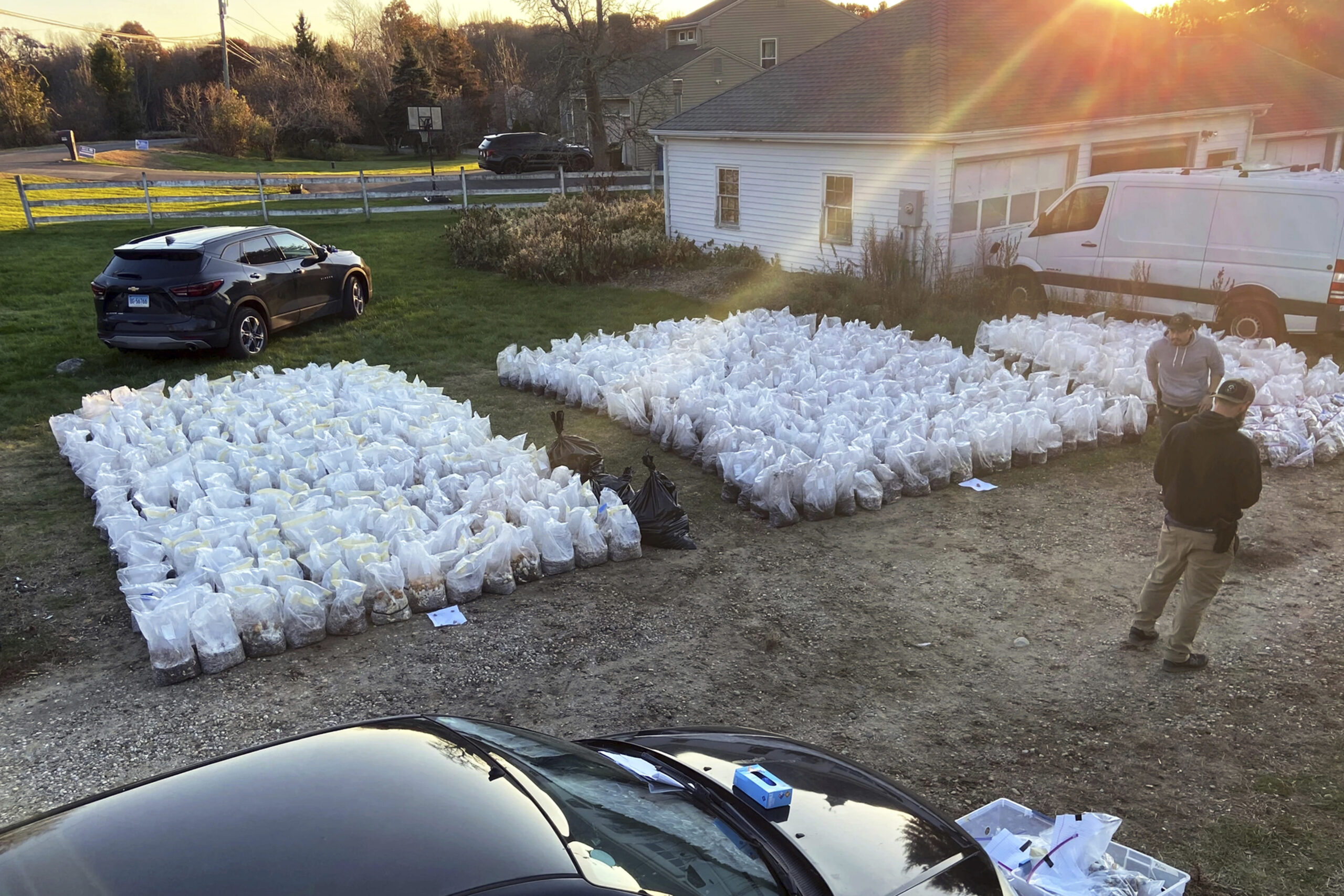 Connecticut man charged with running $8.5 million mushroom factory in home