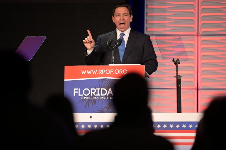 Gov. Ron DeSantis (R-FL) addresses attendees at the Republican Party of Florida Freedom Summit, Saturday, Nov. 4, 2023, in Kissimmee, Florida.