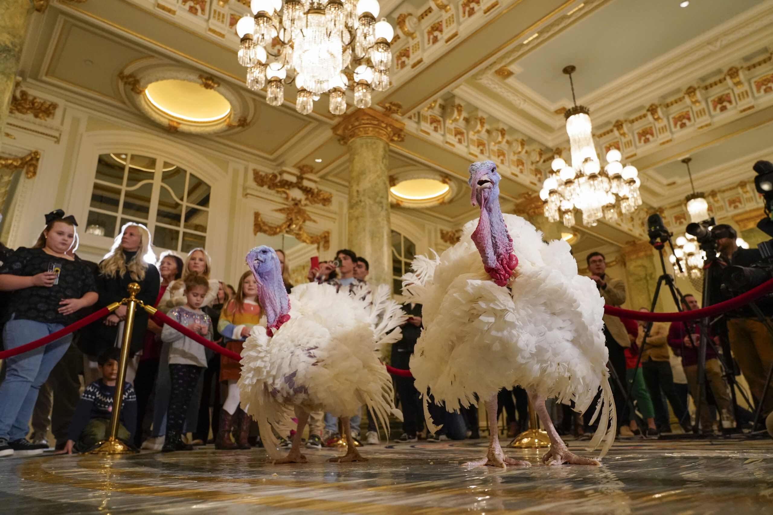 Who are the turkeys set to be pardoned by Biden this week?