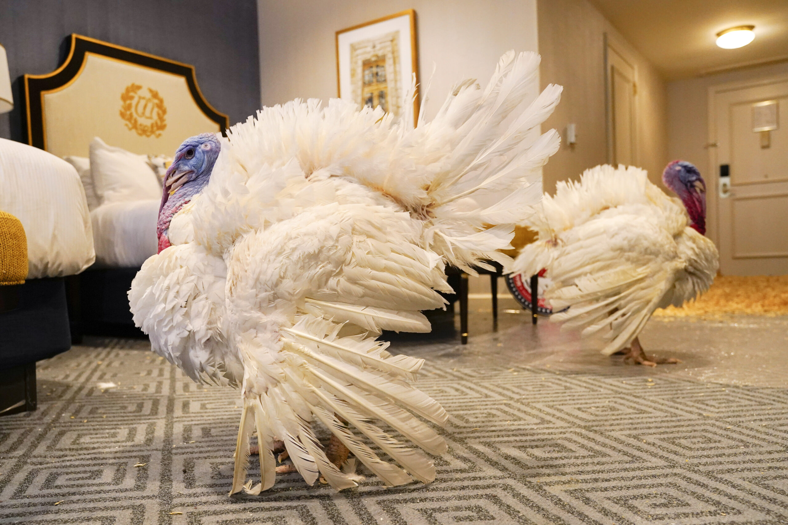 Report: Virginia’s Thanksgiving meal more expensive than national average