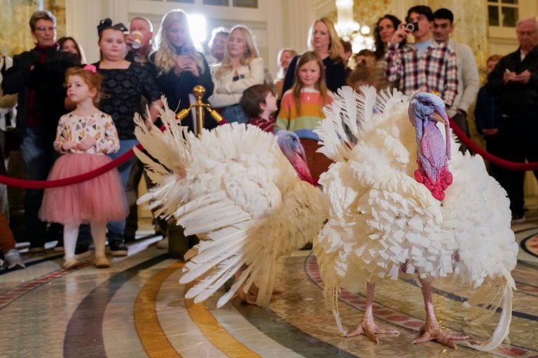 WATCH LIVE: Biden pardons turkeys Liberty and Bell in Thanksgiving tradition