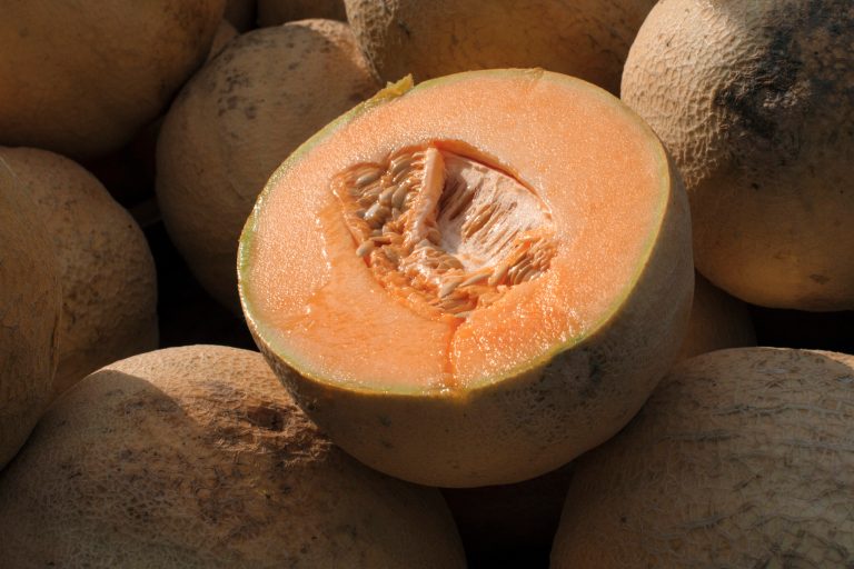 U.S. health officials recalled three more brands of whole and pre-cut cantaloupes Friday, Nov. 24, 2023, as the number of people sickened by salmonella more than doubled this week.