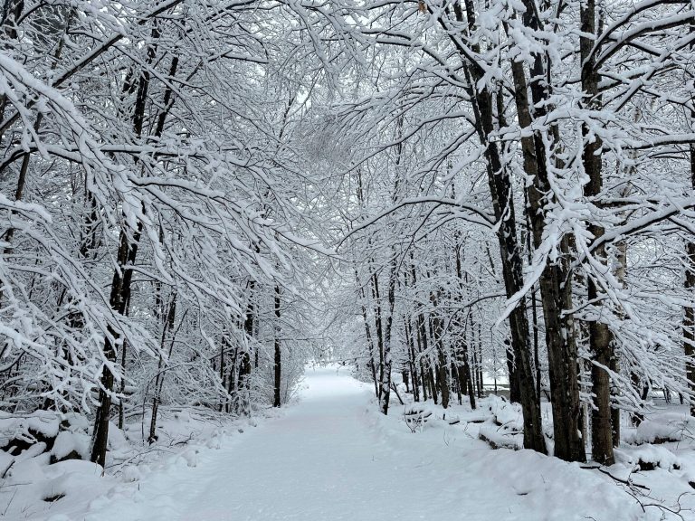 Here’s where you can expect to have a chance of snow in the US this Christmas
