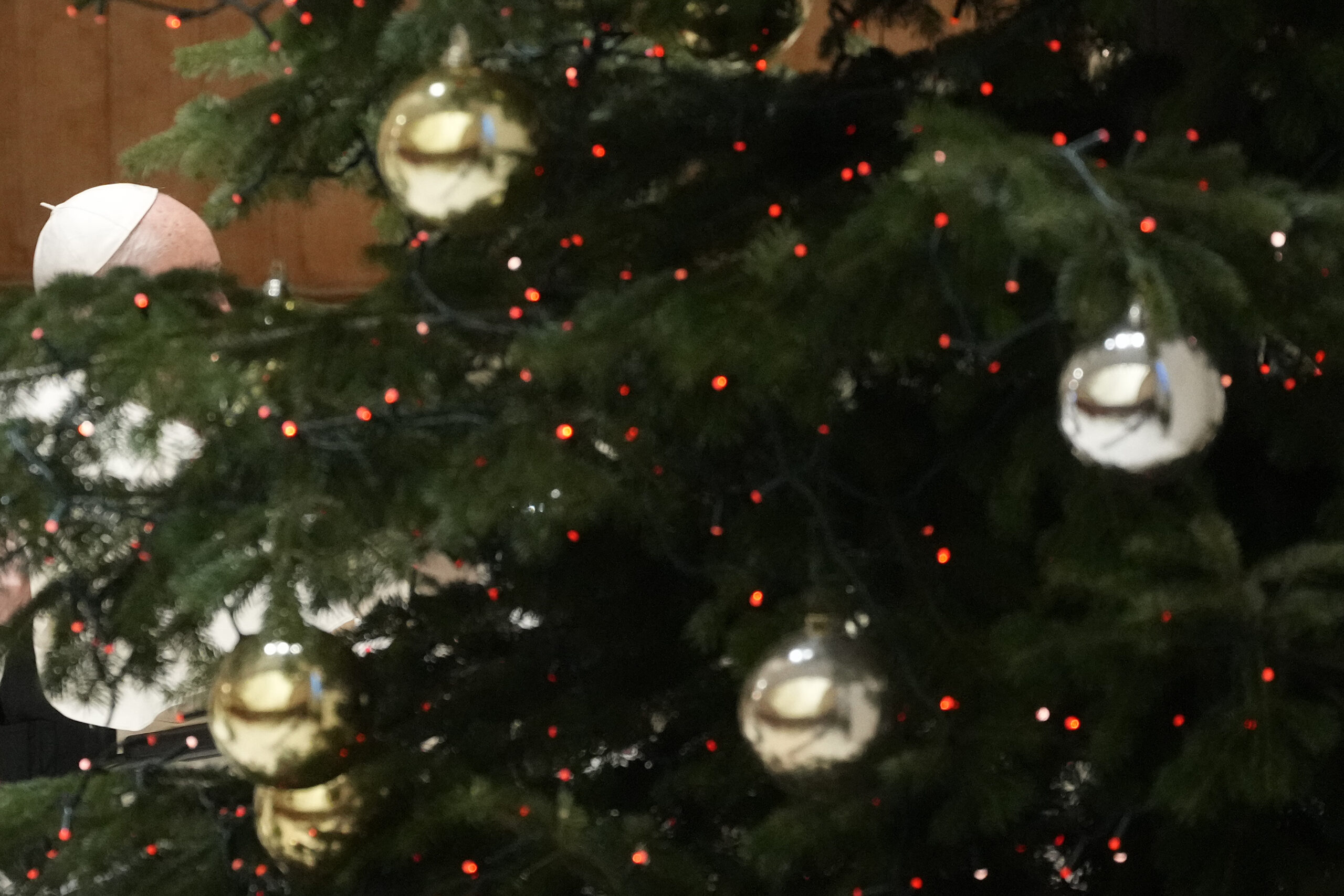 World’s ‘humblest Christmas tree’ fetches thousands at auction