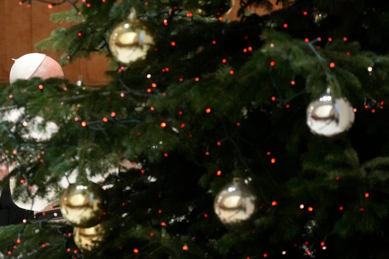 World’s ‘humblest Christmas tree’ fetches thousands at auction