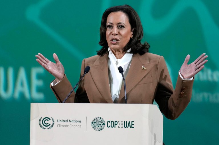 FILE - Vice President Kamala Harris speaks at the COP28 U.N. Climate Summit, Saturday, Dec. 2, 2023, in Dubai, United Arab Emirates. (AP Photo/Kamran Jebreili, File)
