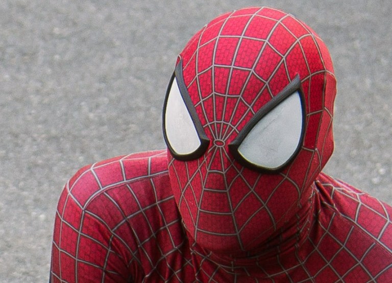 A man is dressed in a Spider-Man costume