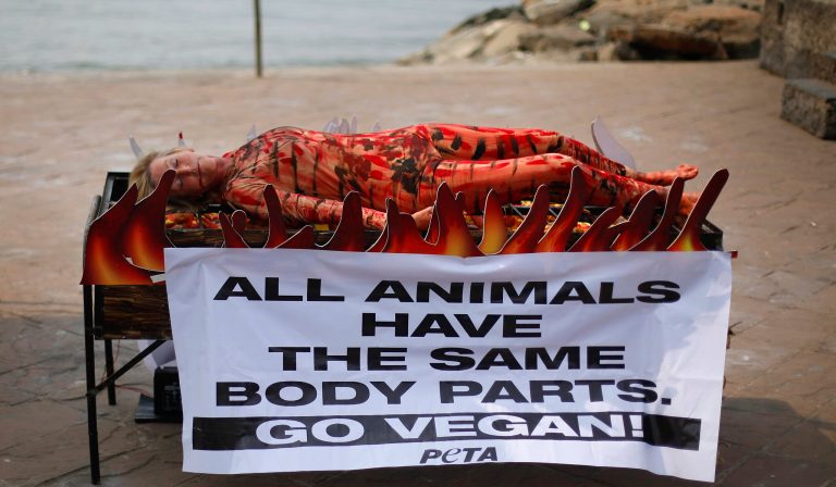 PETA wins a rare apology from feds