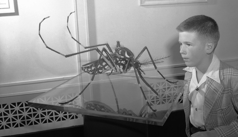 How a prostitute became an American hero during one epidemic