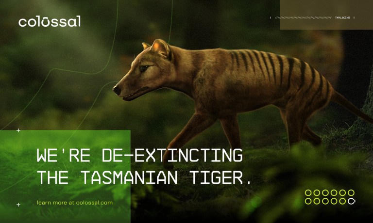 Scientists plan to resurrect the extinct Tasmanian tiger.