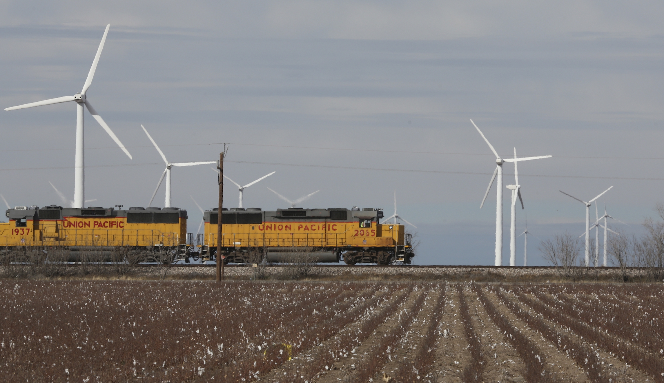 Federal agents continue to catch violent offenders and fugitives living in Texas