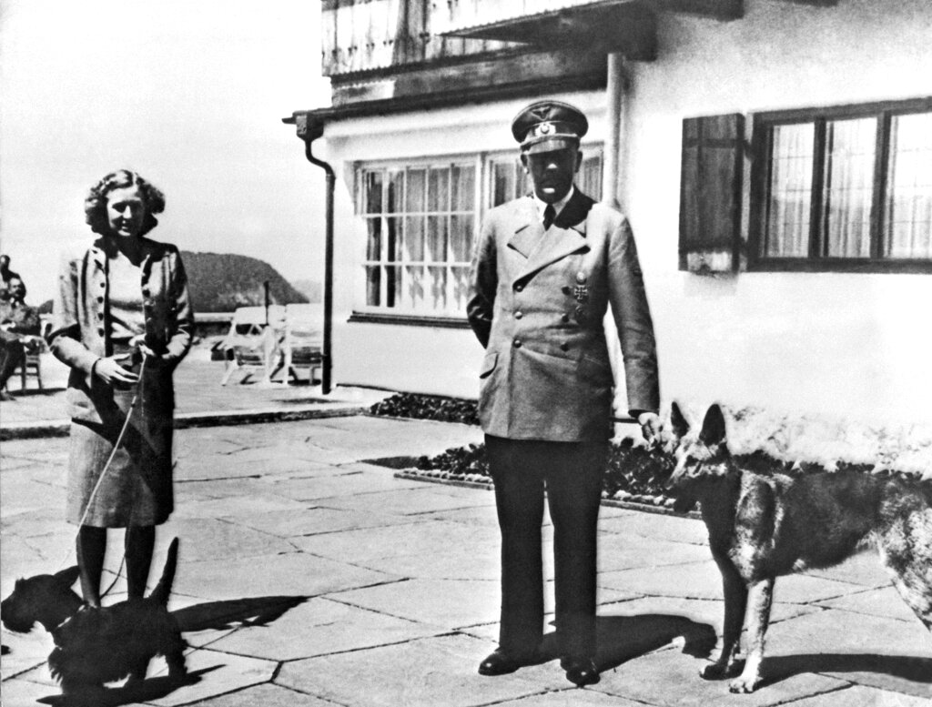 X-ray of Hitler skull headlines massive WWII and Nazi auction