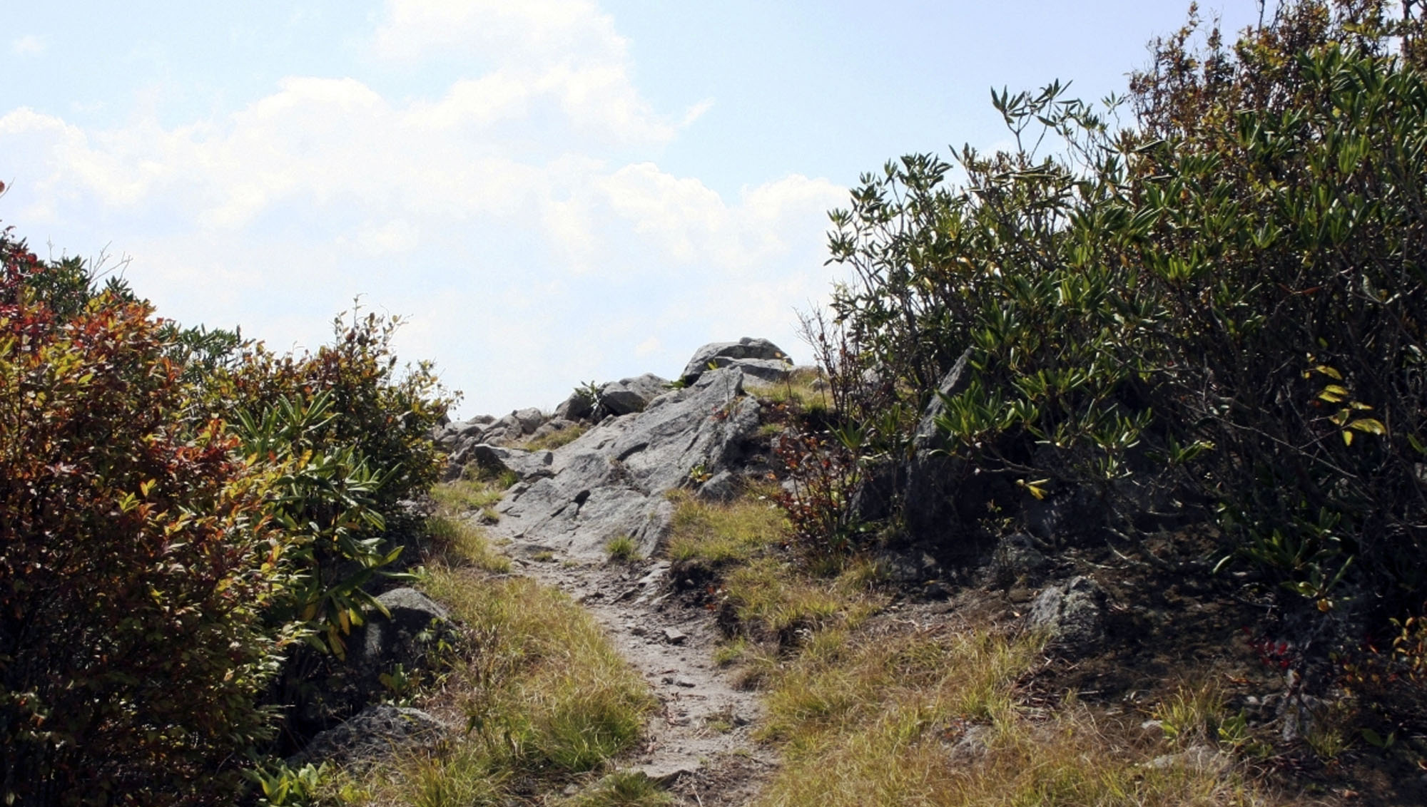 Police: Appalachian Trail knife killer could be ‘Sovereign’ stalker who terrorized hikers