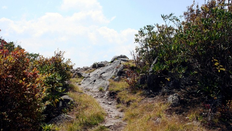 In this September 2008 photo, a trail leads to the spot known as Rocky Top in the Great Smoky Mountains National Park on the Appalachian Trail is seen in Rocky Top, Tenn. The spot is about 25 yards long and 10 yards wide and is elevated 5,441 feet. It's better known, however, as the subject of the University of Tennessee fight song, Rocky Top. 