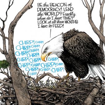 Eagle Feeding