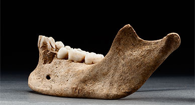 Smithsonian: Starving Jamestown settlers resorted to eating a child