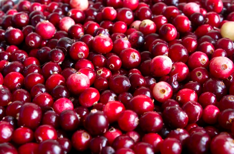 Wisconsin politicians are celebrating the U.S. epartment of Agriculture's decision to exempt cranberries from its sugary foods and snacks naughty list. (Thinkstock)