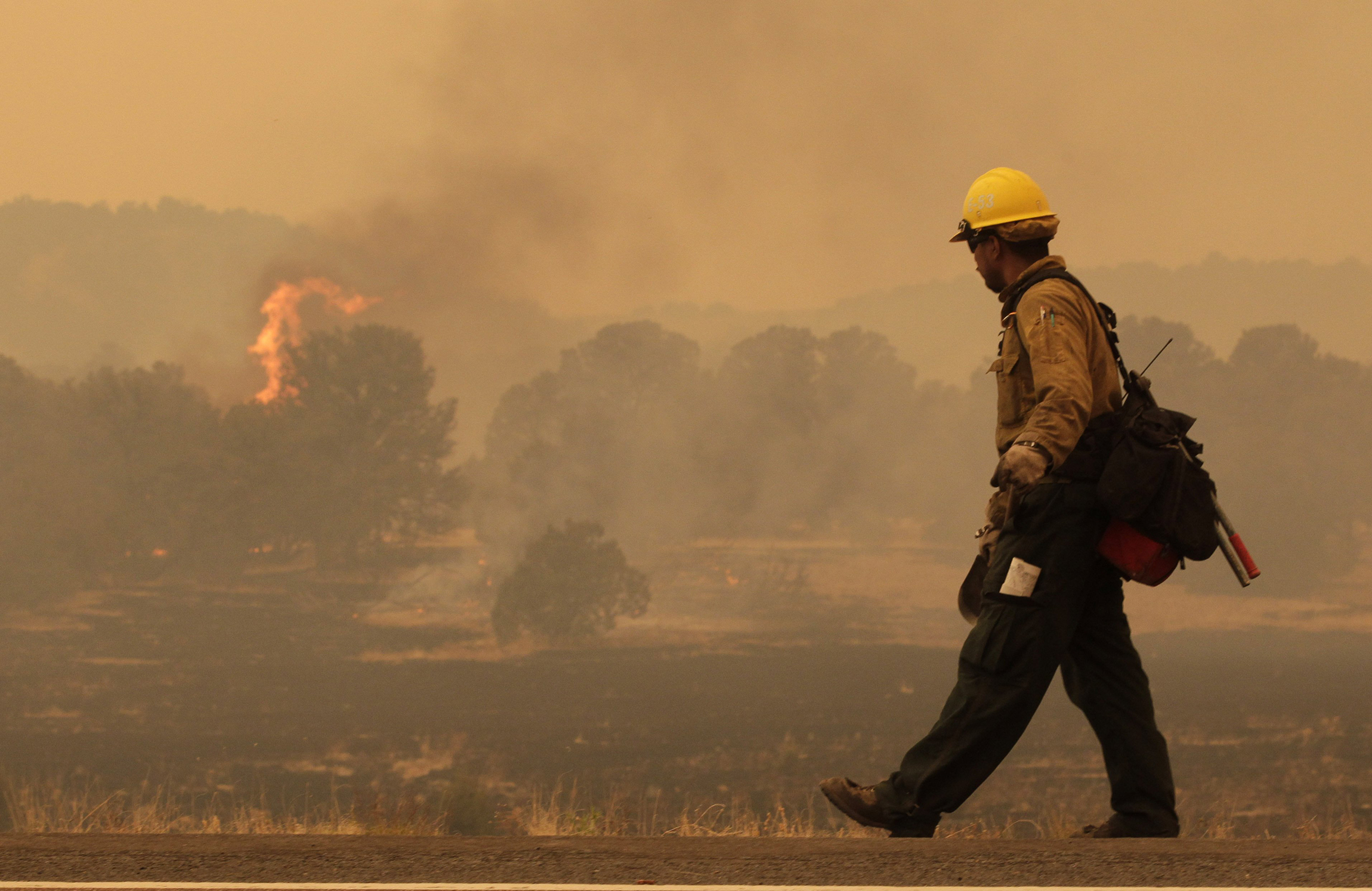 Study: Half the increase in forest fires due to climate change