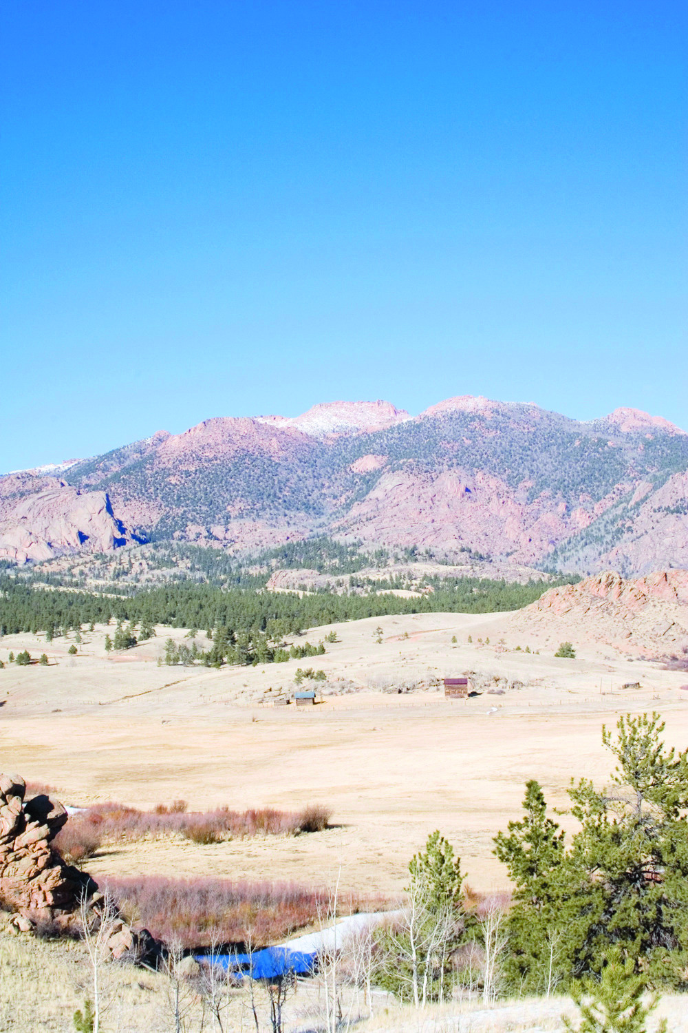 Ron Arnold: Nature Conservancy embroiled in another land grab scandal