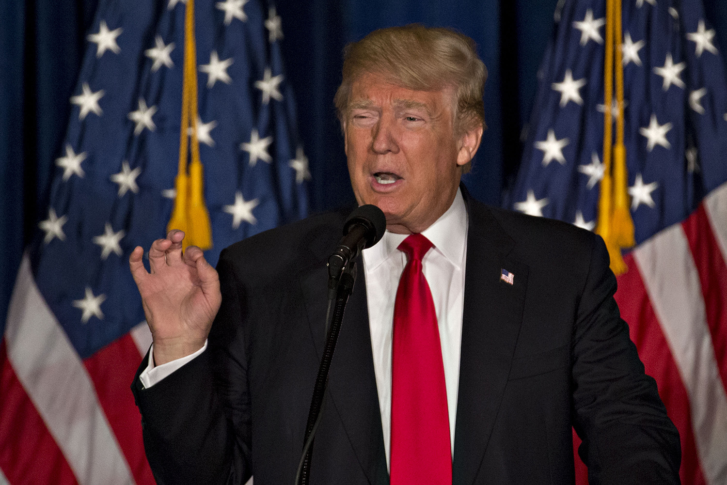 Group hits back at Trump after he says wind power ‘kills all your birds’