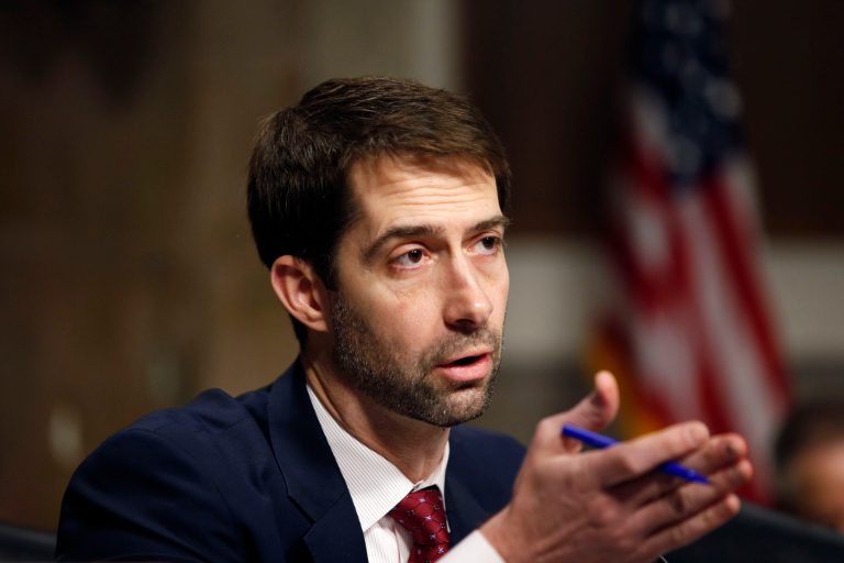Tom Cotton said veterans who served in Iraq and Afghanistan are not yet at the point in their lives where they will be running for the House and Senate, but that that will change soon. (AP Photo)