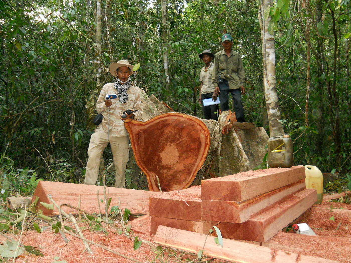 Killing of environmental activists rises globally