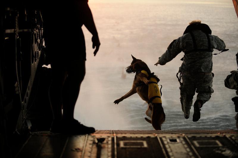 Pentagon cuts will leave gaps special operations can’t fill, experts warn