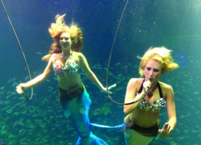 Mermaids were the main attraction at Monday night's DISCUS party in Tampa. (Nikki Schwab/Examiner photo)