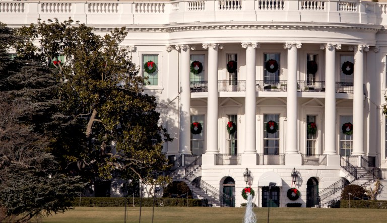 A large portion of a famed Magnolia tree was planted on the south grounds of the White House by President Andrew Jackson in 1835. The tree has become too weak to remain standing. (AP Photo/Andrew Harnik)
