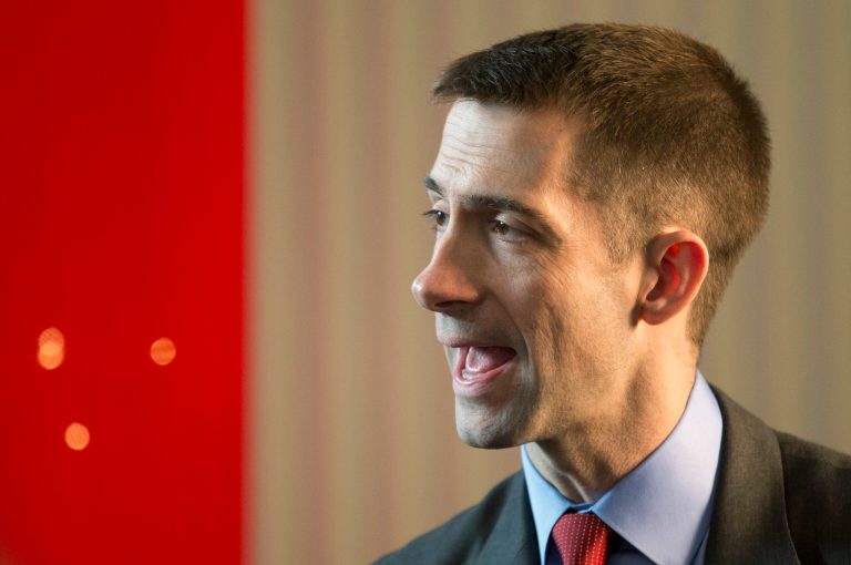 Rep. Tom Cotton, R-Ark., will launch his bid next week to challenge incumbent Sen. Mark Pryor, D-Ark., in 2014. (AP/Manuel Balce Ceneta)