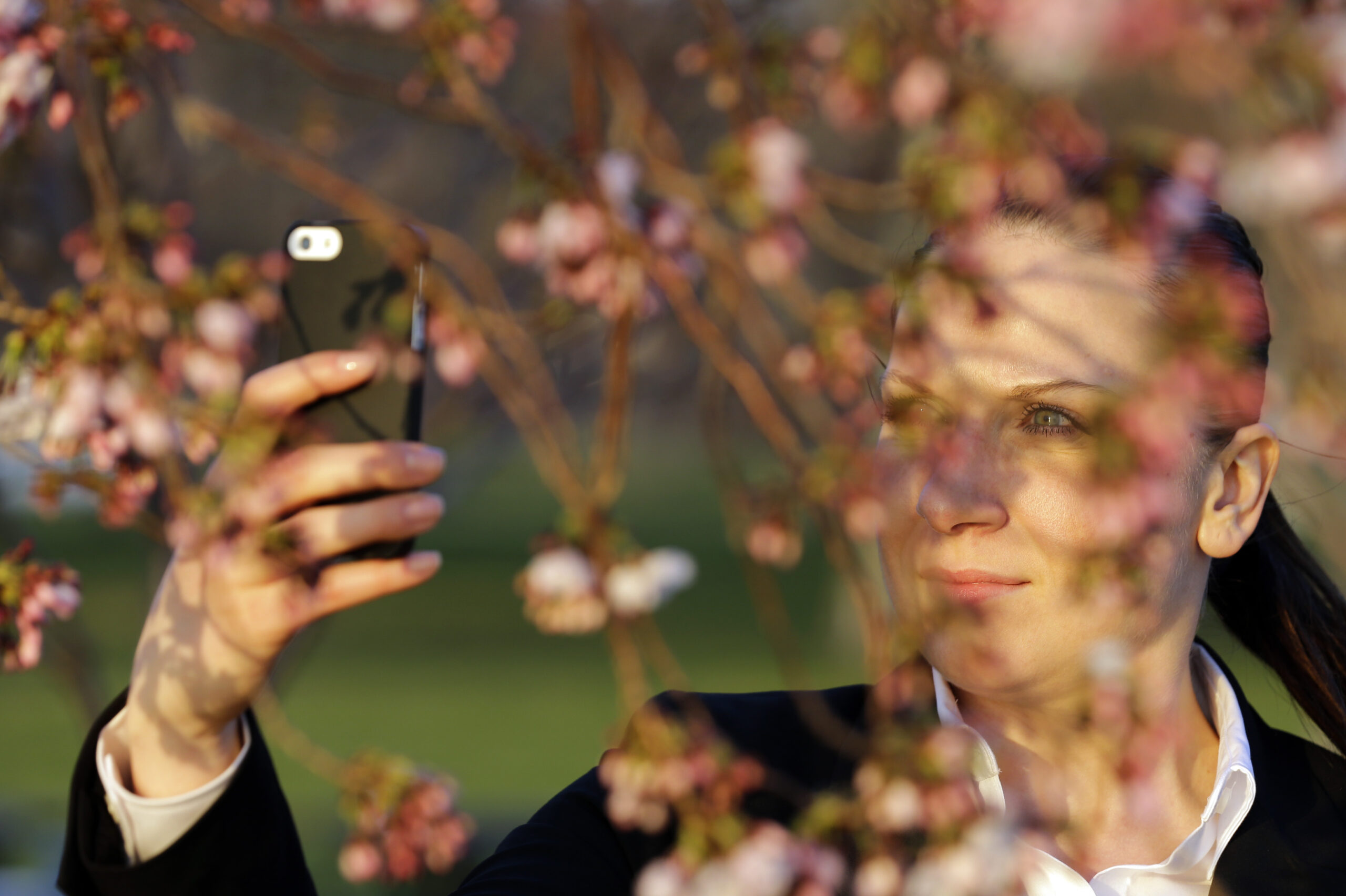 Festival draws millions, despite late blooms