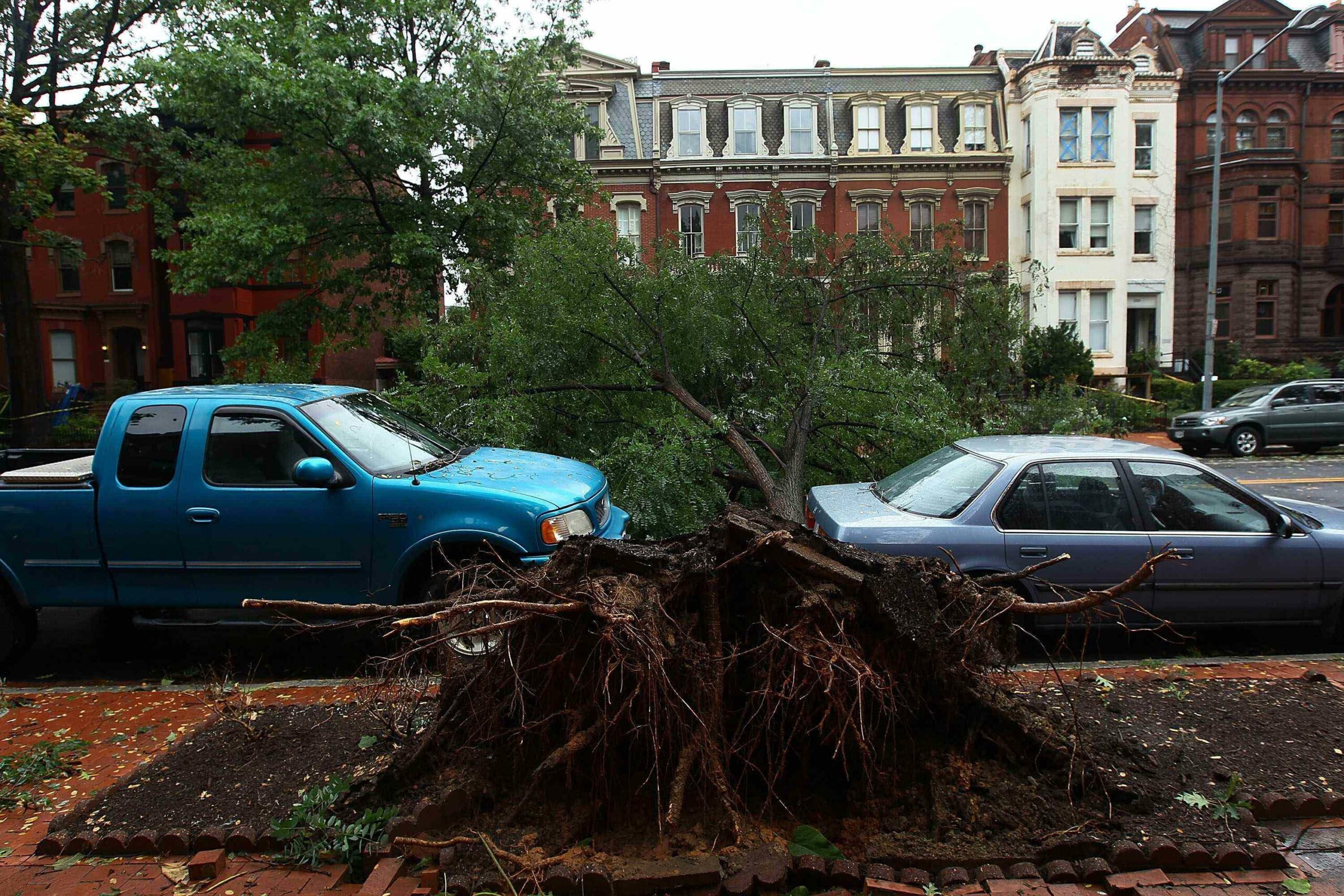 Post-Irene insurance claims climb