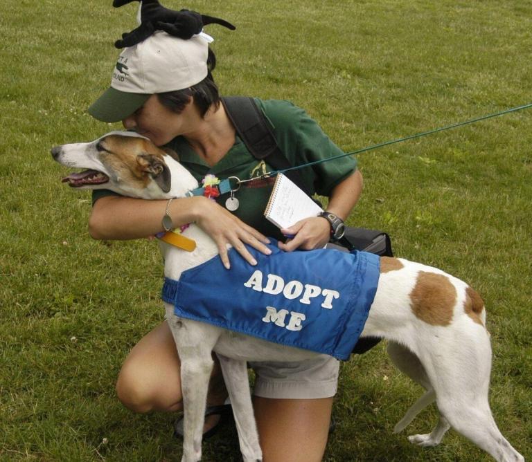 Maryland bill would charge fees for new spay-neuter fund