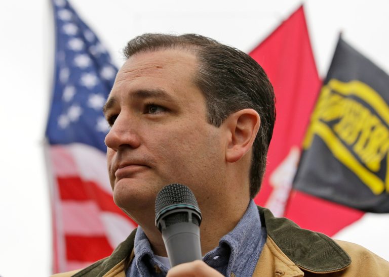 Sen. Ted Cruz, R-Texas, speaks at a rally at the World War II Memorial on the National Mall in Washington on Sunday. (AP Photo/Alex Brandon)