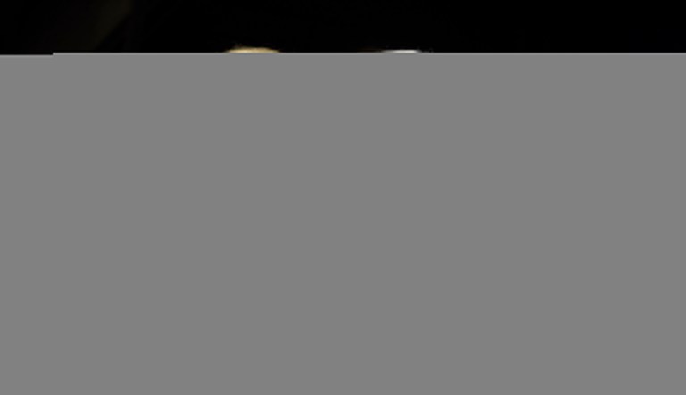 Justice, a billionaire coal and real estate tycoon, positioned himself as an ally of Trump who inspired him to switch parties. (AP Photo/Susan Walsh)