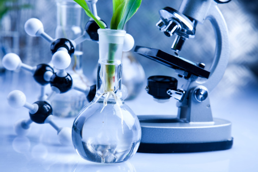 Working in a laboratory