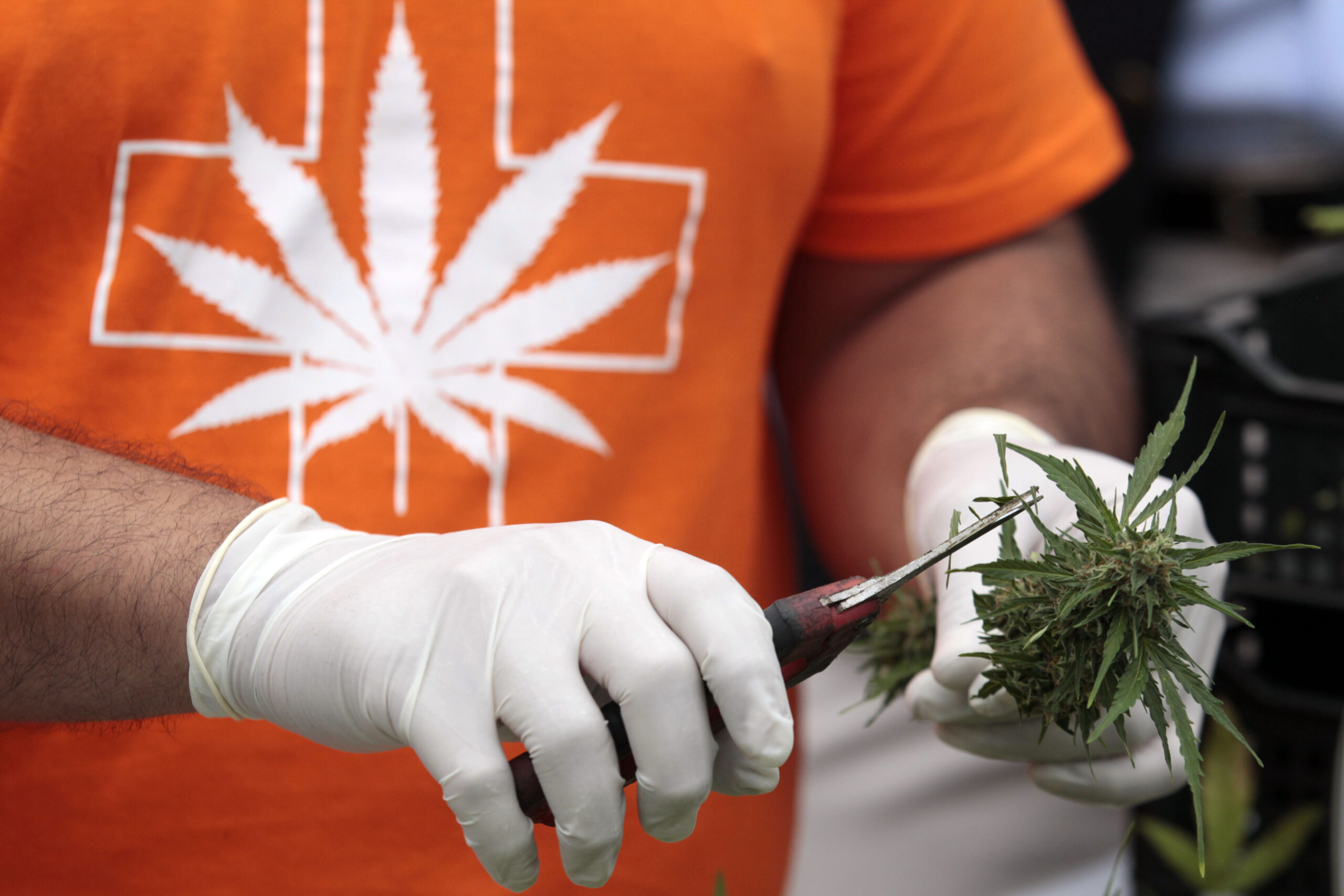 Colorado may allow more pot for PTSD patients