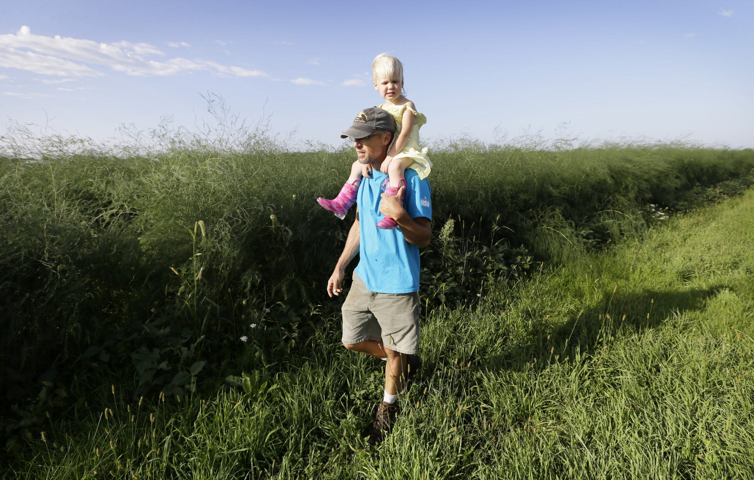 Pesticide drift is persistent problem for farmers