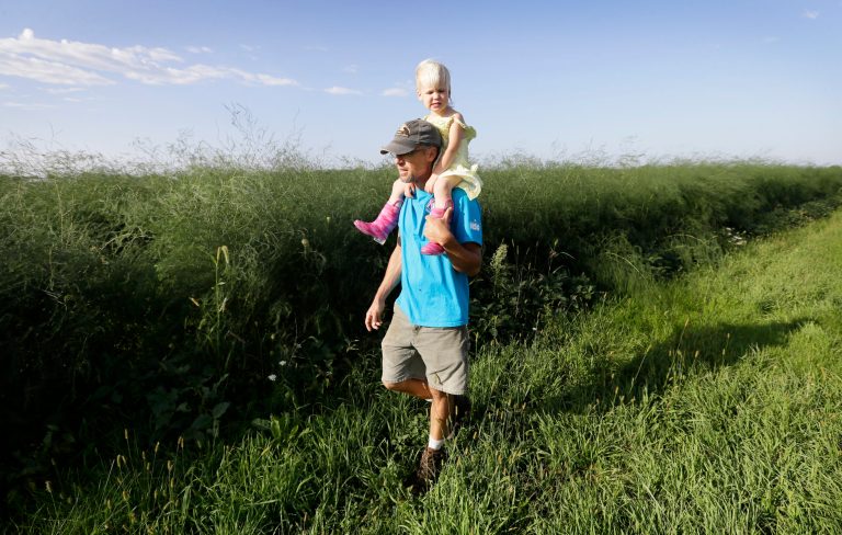 Pesticide drift is persistent problem for farmers